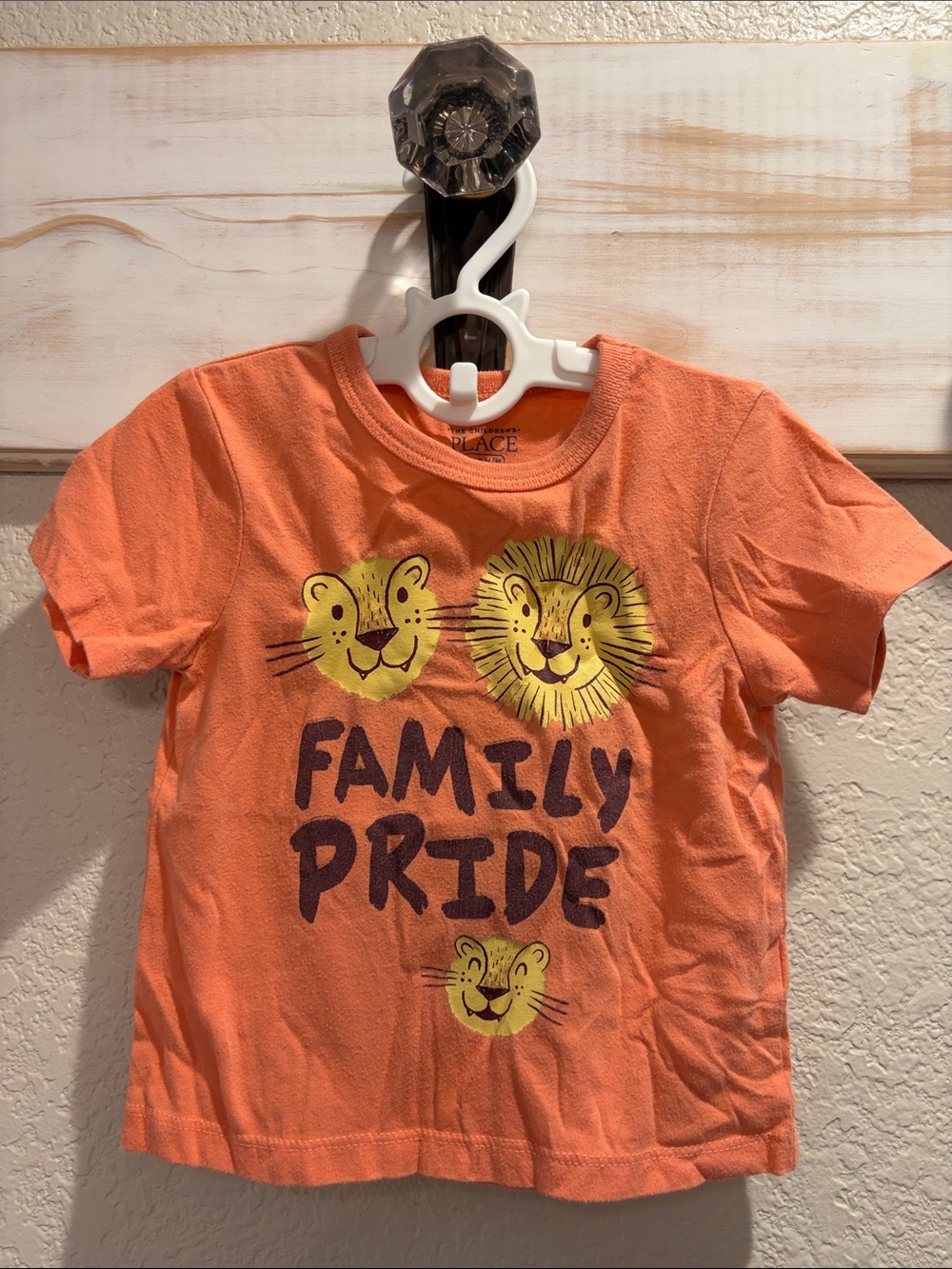 The Children's Place Orange Lion Graphic Tee